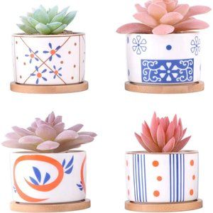 4 Ceramic Planters for Cactus Succulent with Drainage Hole & Bamboo Saucers 3"